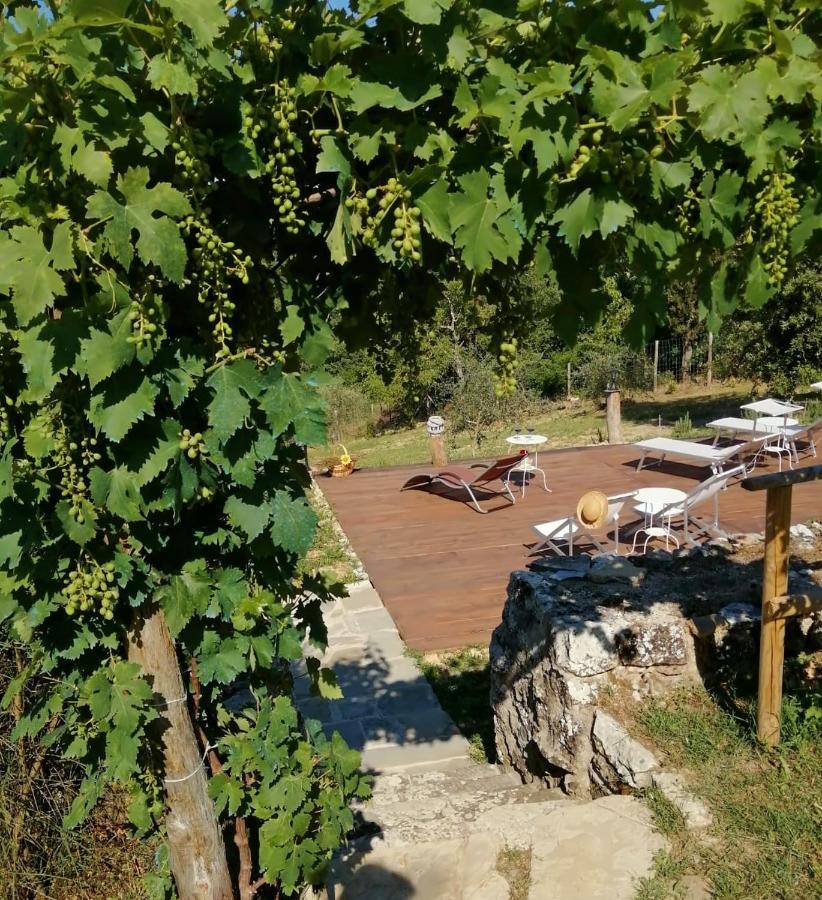 B&B Casagrande Кверчегросса Экстерьер фото